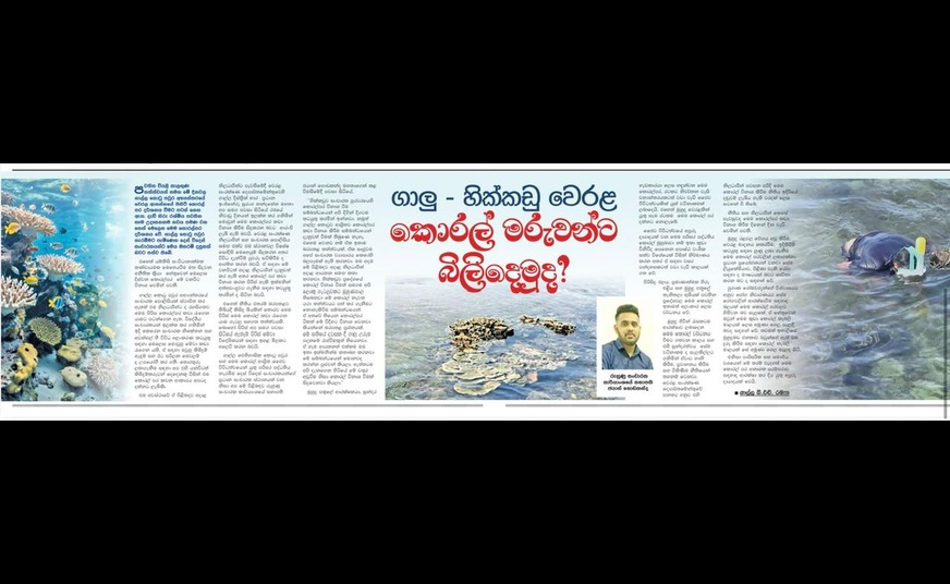 News Report: "Rathu Ira" Newspaper (Today, Sunday the 26th)